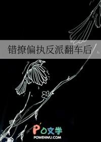 @yy.书名错撩偏执男主后我甩不掉了