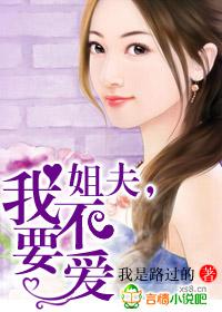 姐夫不要这样对我