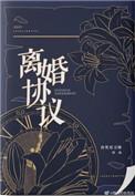 离婚协议电视剧免费观看全集高清