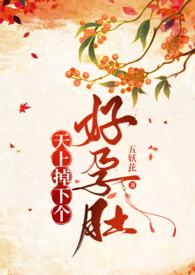 天上掉下个白富美原唱