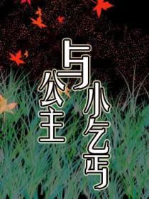 公主vs乞丐