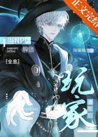npc解释