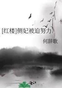 侧妃需要迎娶吗