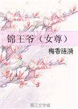 锦王爷女尊txt