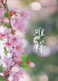 难解的解是什么意思