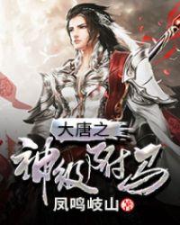 大唐神级驸马笔趣阁