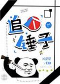 追个锤子by关尼尼格格党