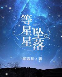 等星星坠落txt电子书TXT