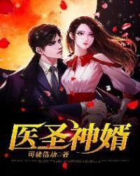 医圣豪婿免费阅读