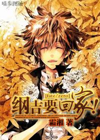 fate zero纲吉的愿望