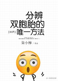 hp分辨双胞胎的唯一方法番外