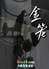 金笼叹讲的什么