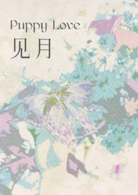 见肿消草药图片