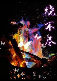 烧不尽番外商禄方麒年