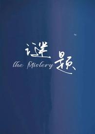 谜题的拼音