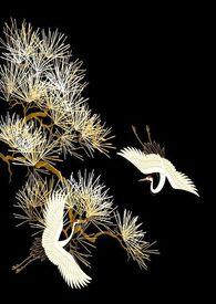 西京烬余录大结局