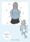 盛年不重来还是盛年不再来