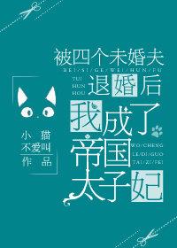 被4个未婚夫甩了以后我成了太子妃