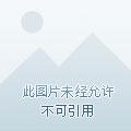 全民领主我的亡灵骷髅亿亿万在哪里可以看