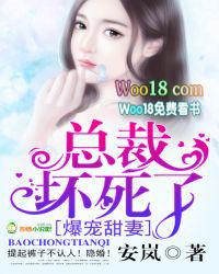 总裁宠妻太坏了