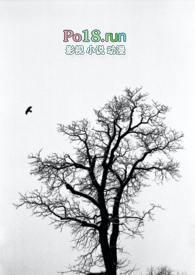 失落的英雄免费阅读