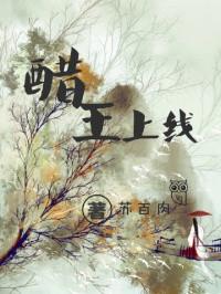 醋王上线温启十三