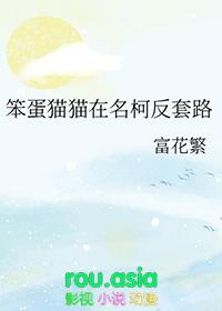 综漫笨蛋猫猫在名柯反套路