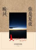 夏夜晚风与你短剧