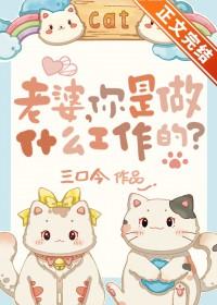 老婆是用来做什么的?