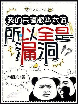 所以全是漏洞123读书网