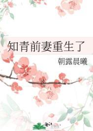 重生知青老婆