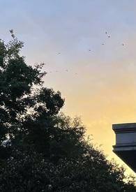 圣母的下场 blue