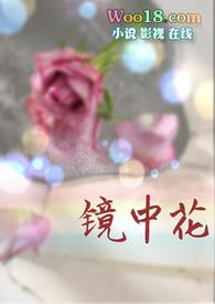 镜中欢在线阅读