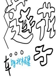 莲子花开txt