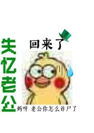 失忆老公全文