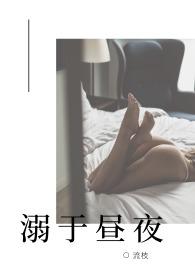 溺于昼夜Np全文阅读