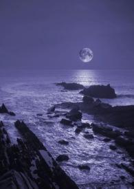 暗夜免费