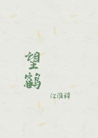 望鹤是什么意思
