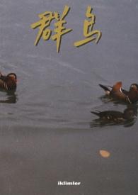 群岛的拼音
