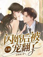 闪婚大叔用力宠总结