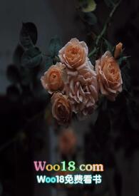 壁垒(骨科NP)最新章节-壁垒(骨科NP)