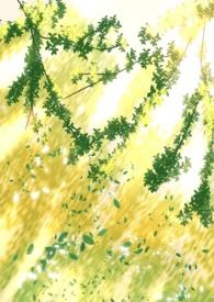 但第三者讲什么