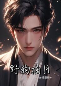 野狗的