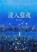 浸入蓝夜TXT百度链接