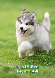 年下小奶狗撩爆了短剧