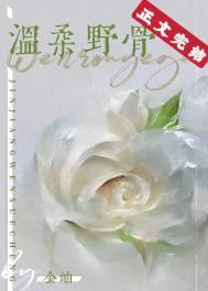 温柔野骨澜笙全文免费阅读