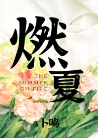 燃夏TXT