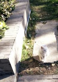 媚欢(上位)无三观笔趣阁免费