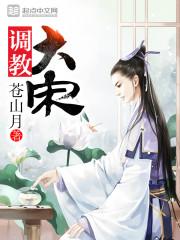 调教大宋剧情
