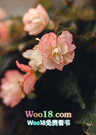游园惊梦是